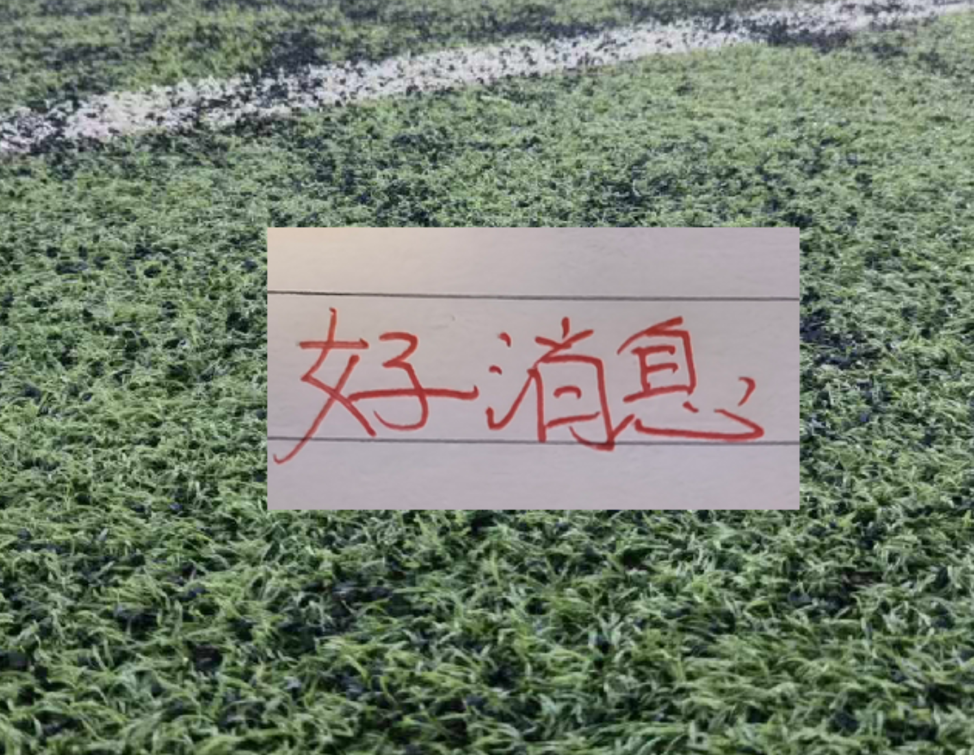皇家西班牙人足球俱乐部通过其上海足球学院深化国际布局